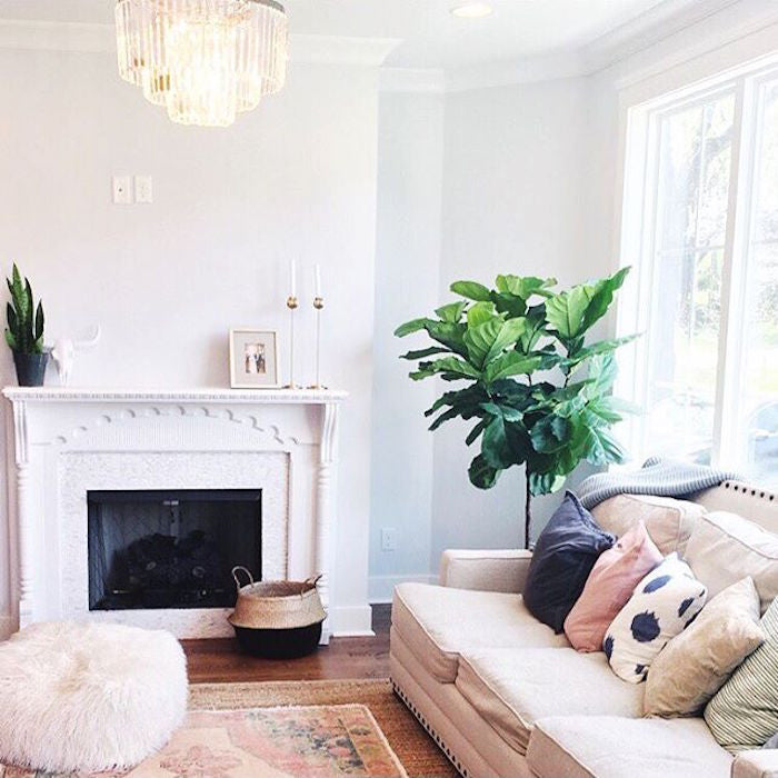 Womanista- adding texture to your space