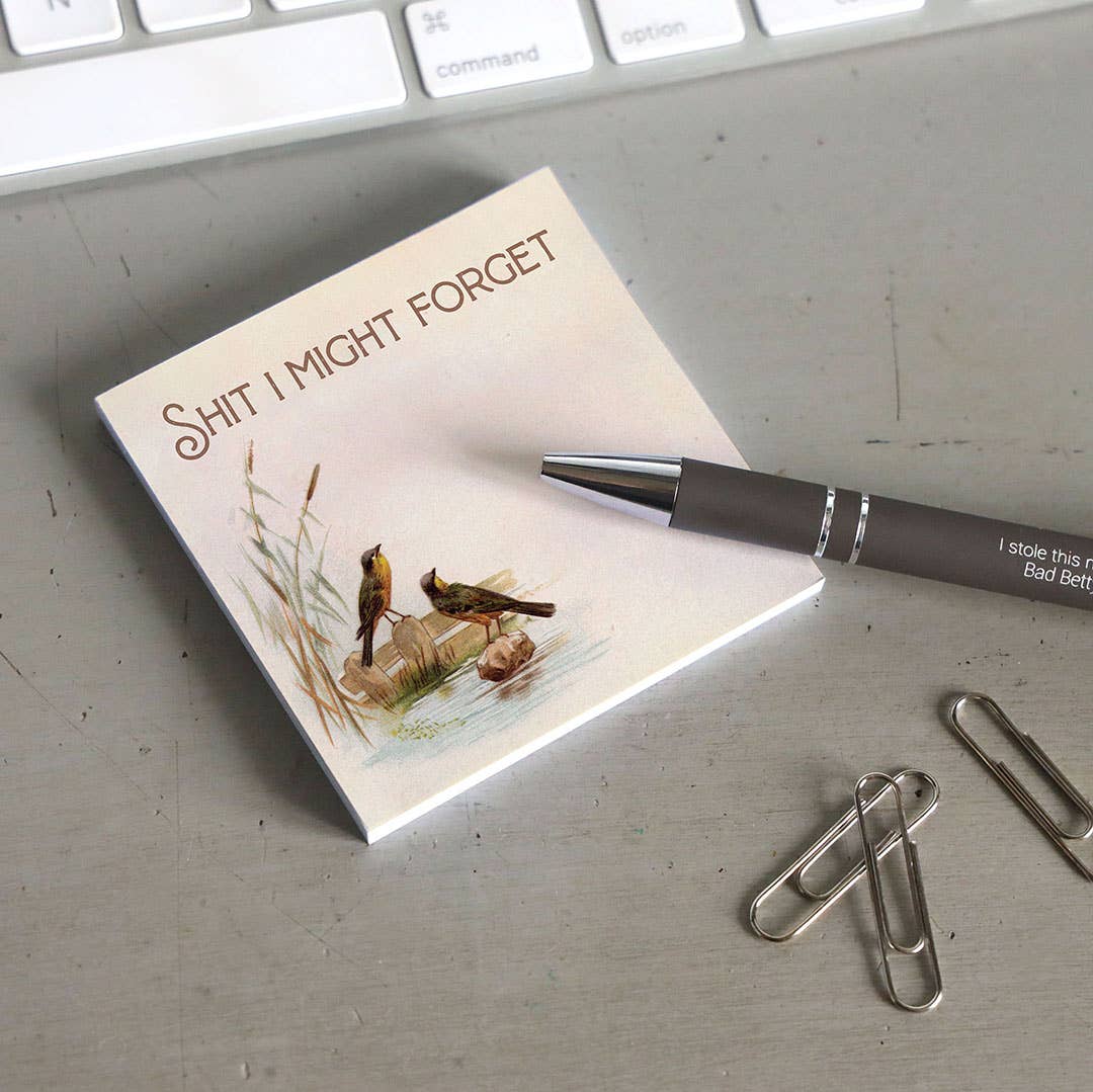 shit i might forget - funny sarcastic sticky notepad