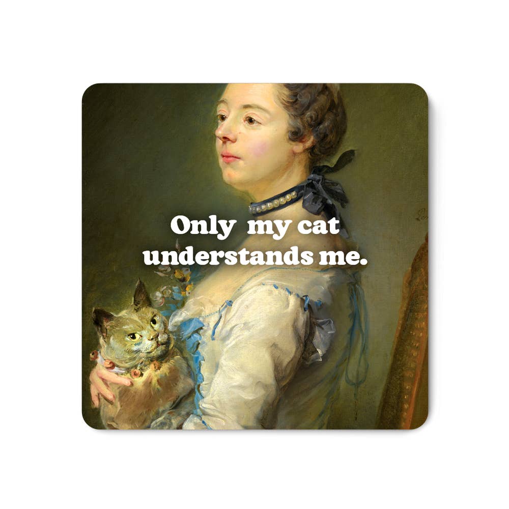 my cat understands me magnet