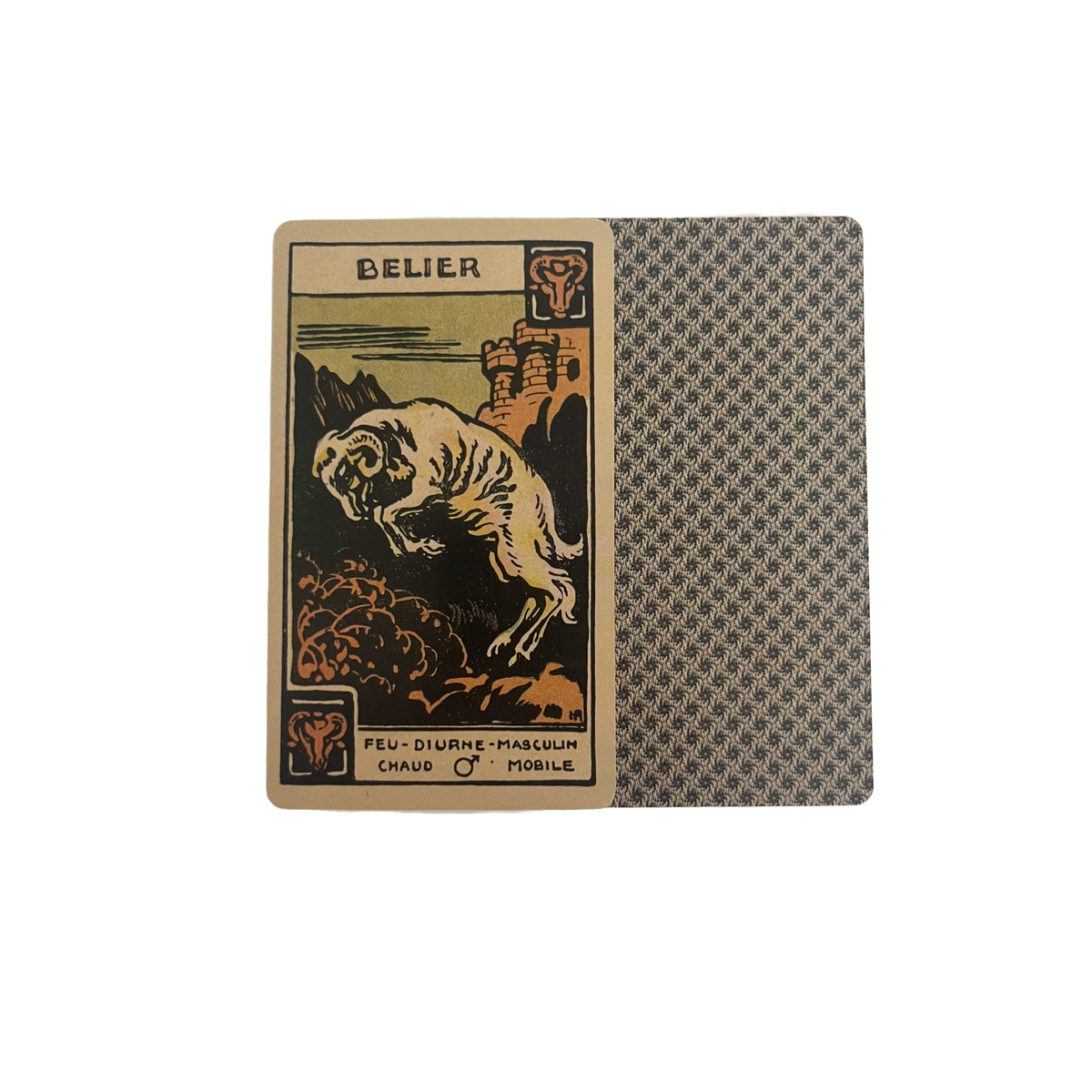 astrological tarot deck & guidebook