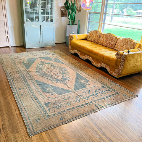 cora {6'4" x 10'10"}