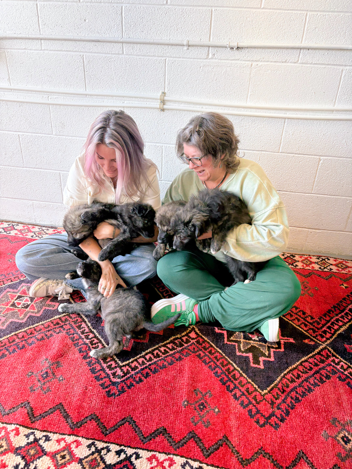 rescue pups & rescue rugs