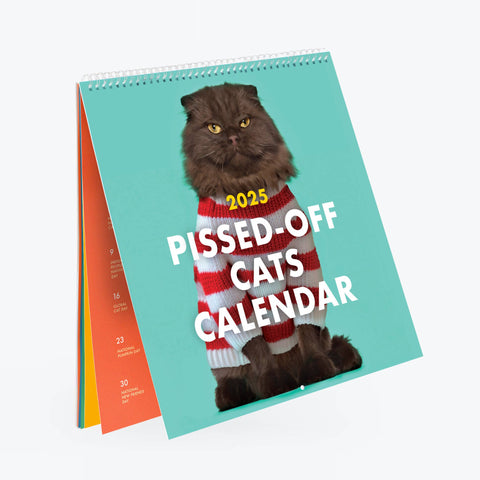 2025 pissed off cats calendar