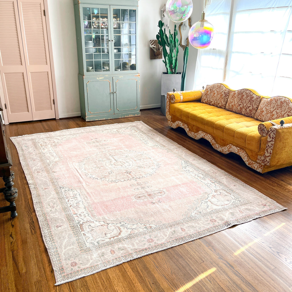 sasha {7'9" x 10'10"}