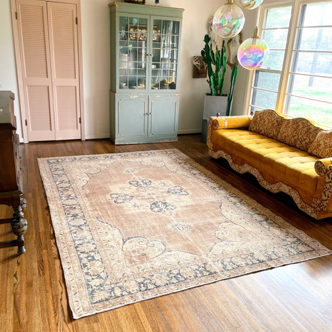 petunia {6'9" x 10'}