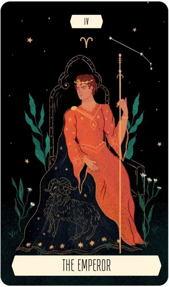 zodiac tarot & deck book