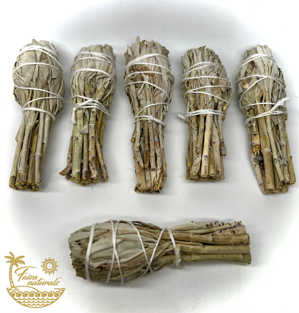 white sage torches