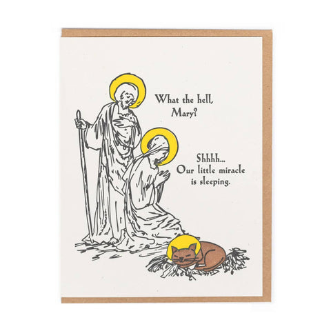 what the hell, mary?  shhh...our little miracle is sleeping {kitty}. card