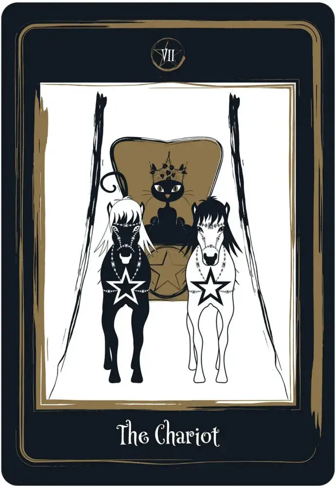 golden black cat tarot
