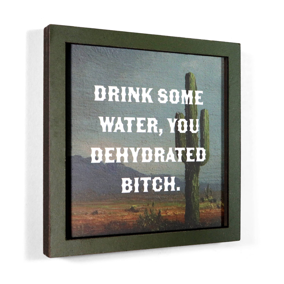drink some water, you dehydrated bitch - funny wooden magnet