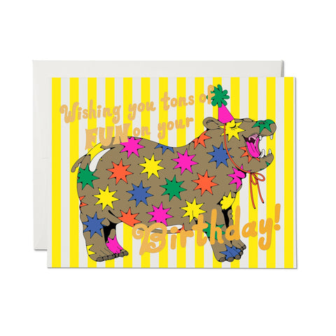 wishing you tons of fun on your birthday! card