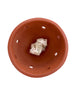 mayan copal burning kit