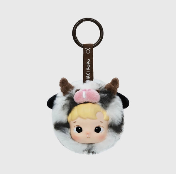 hacipupu constellations