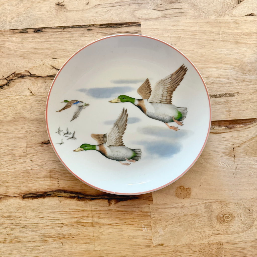 mallard ducks decorative plates