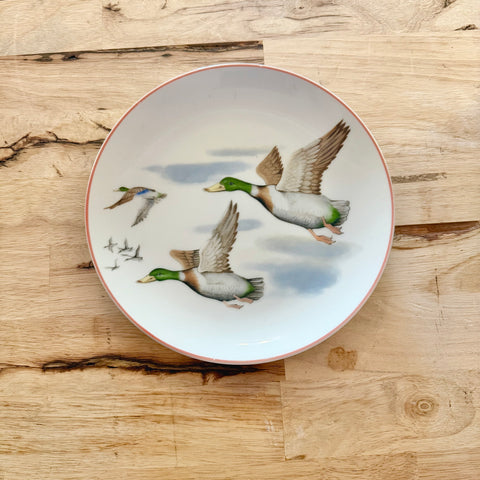 mallard ducks decorative plates