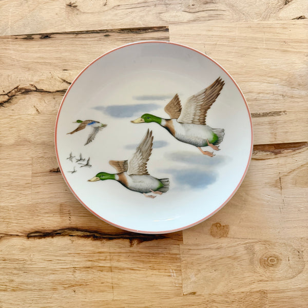 mallard ducks decorative plates