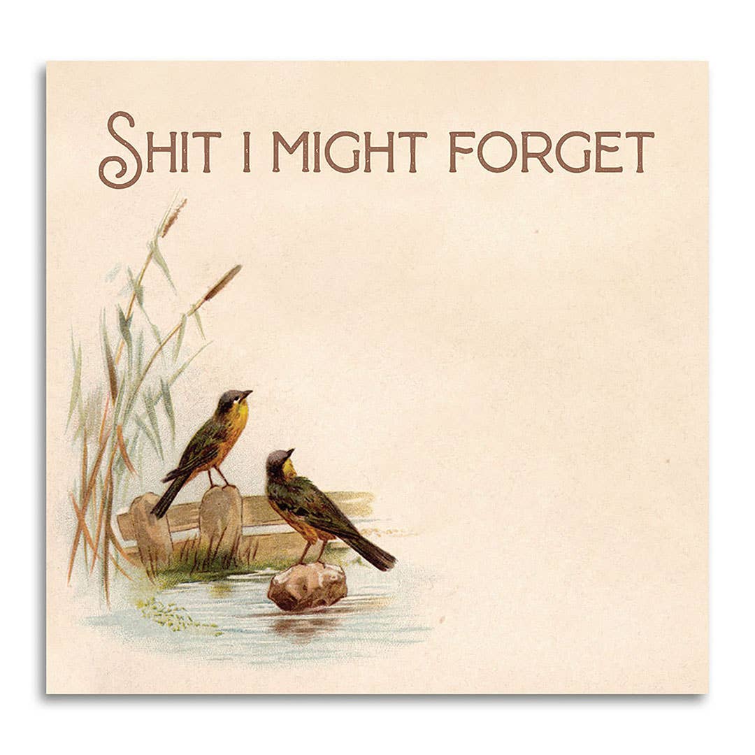 shit i might forget - funny sarcastic sticky notepad