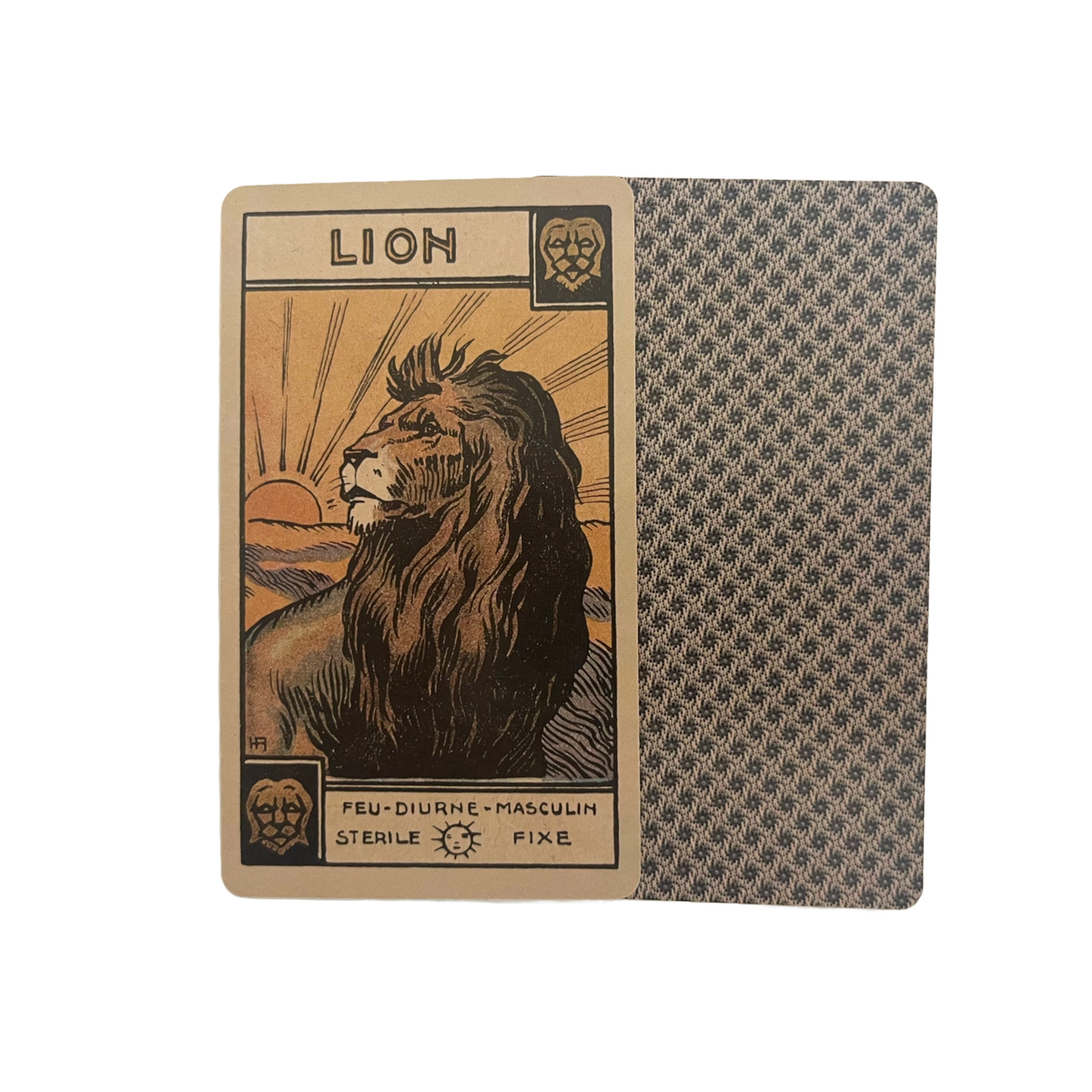 astrological tarot deck & guidebook