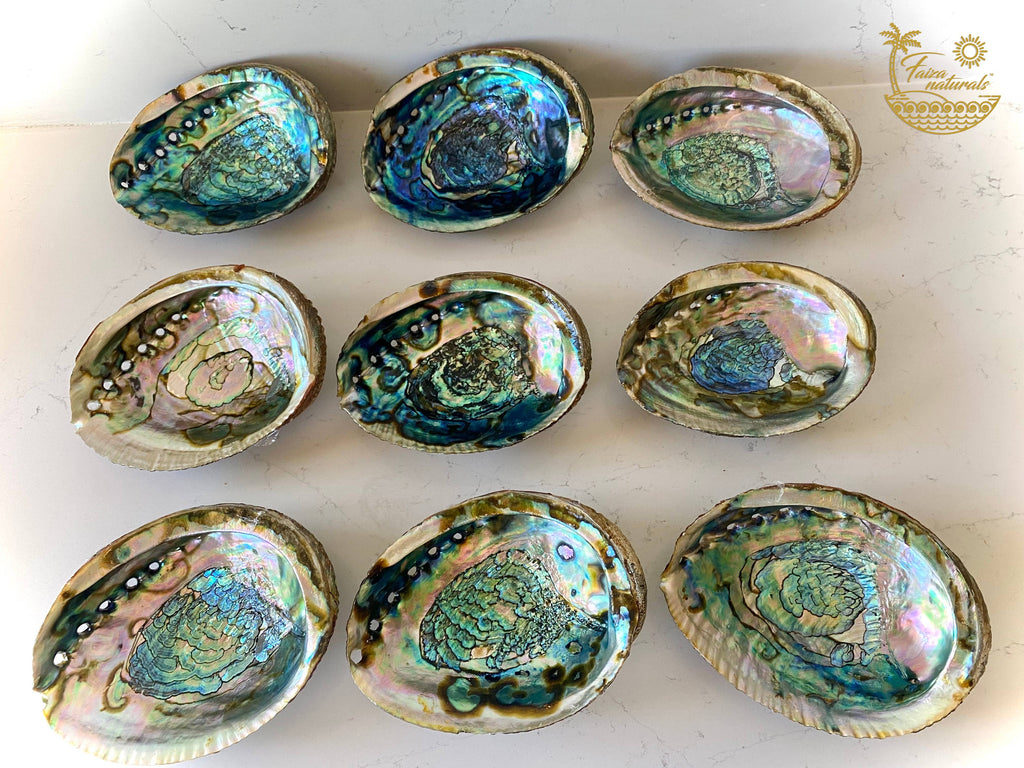abalone shell smudge bowls {large}