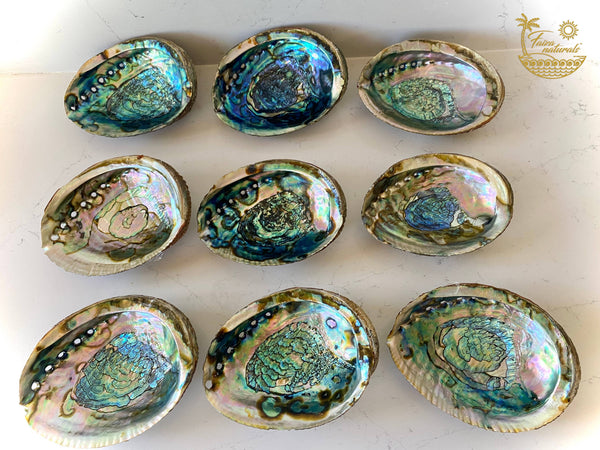 abalone shell smudge bowls {large}