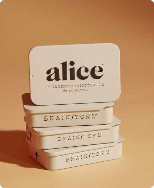 alice mushroom chocolates {brainstorm}