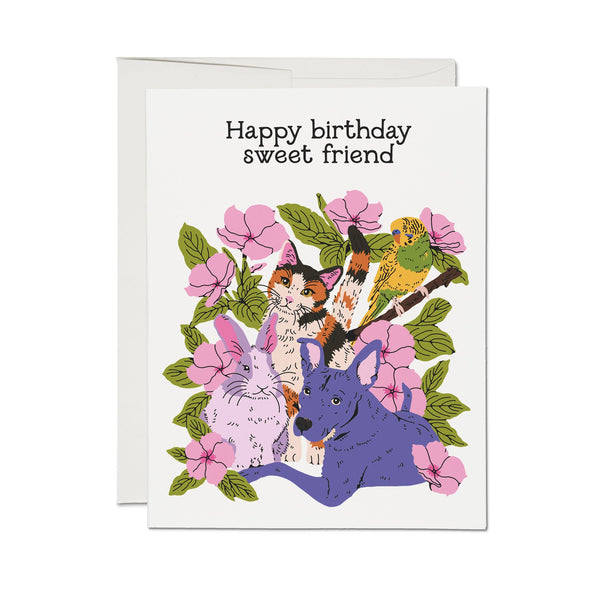 happy birthday sweet friend card