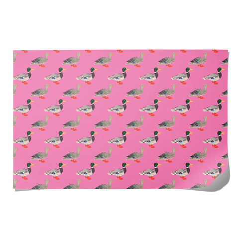 party ducks wrapping paper