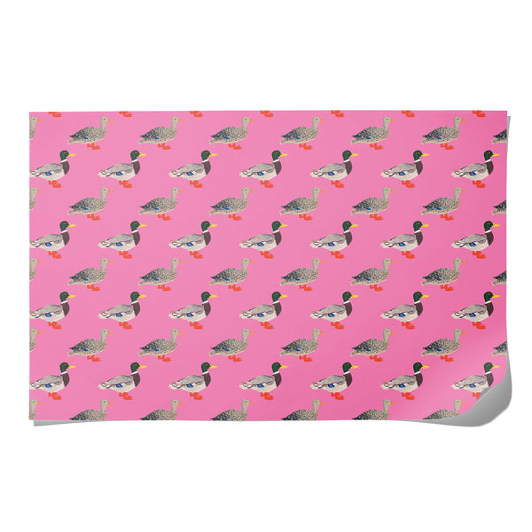 party ducks wrapping paper