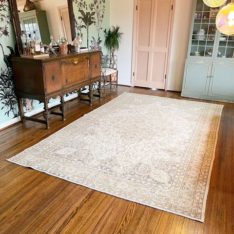 molly {6'10" x 11'1"}