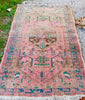 gia {3'11" x 6'7"}