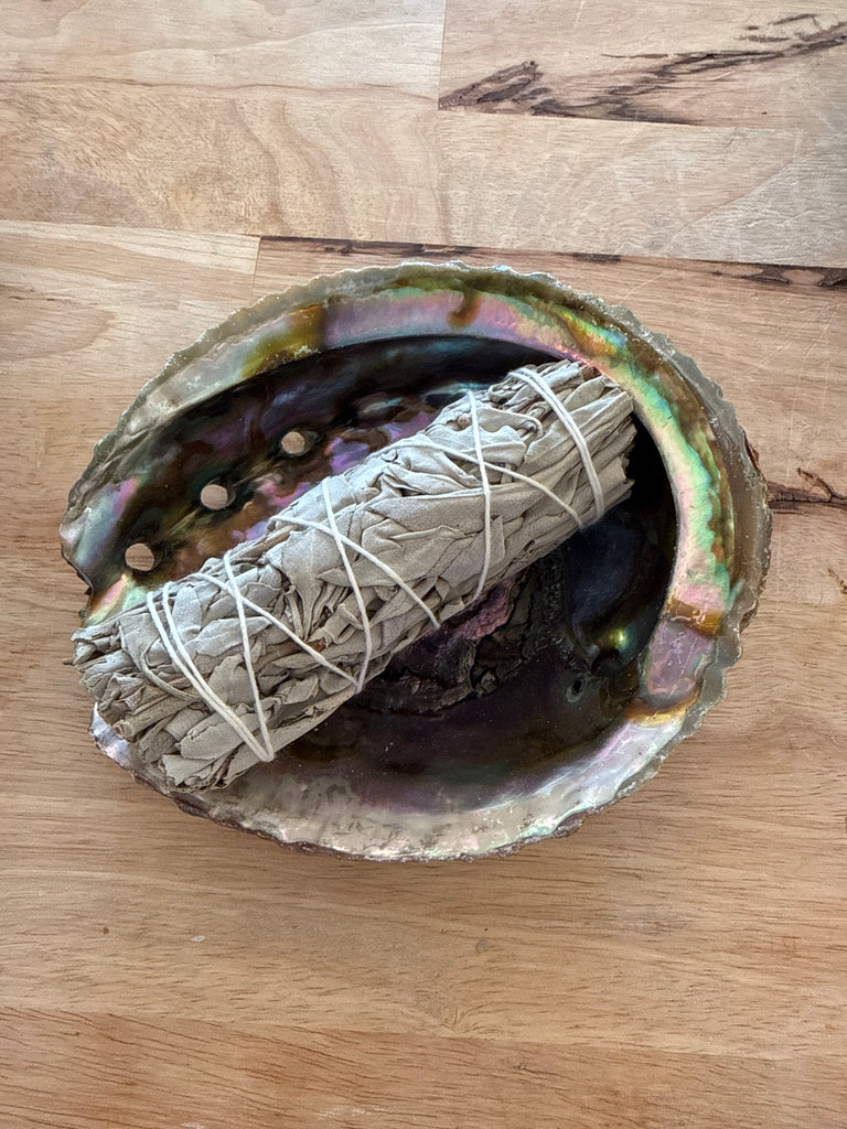 sage + abalone shell bundle