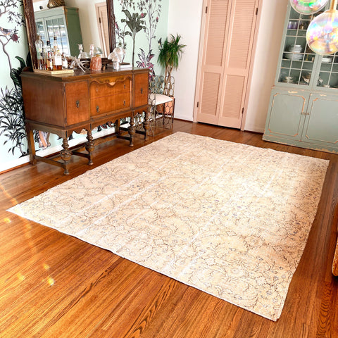 birdie {7'5" x 10'6"}