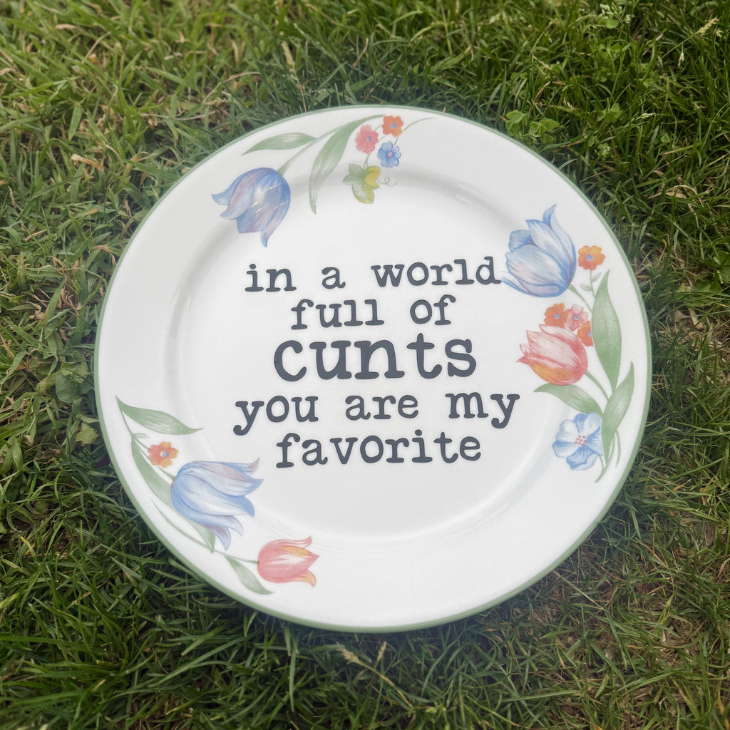 in a world full of cunts you are my favorite decorative plate