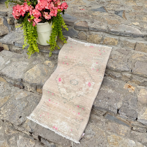 dex {1’6” x 3’1”}