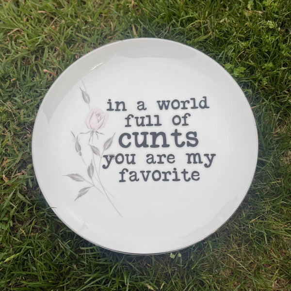 in a world full of cunts you are my favorite decorative plate