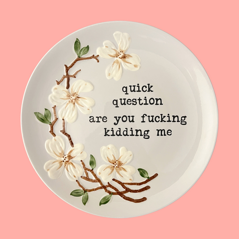 quick question are you fucking kidding me decorative plate