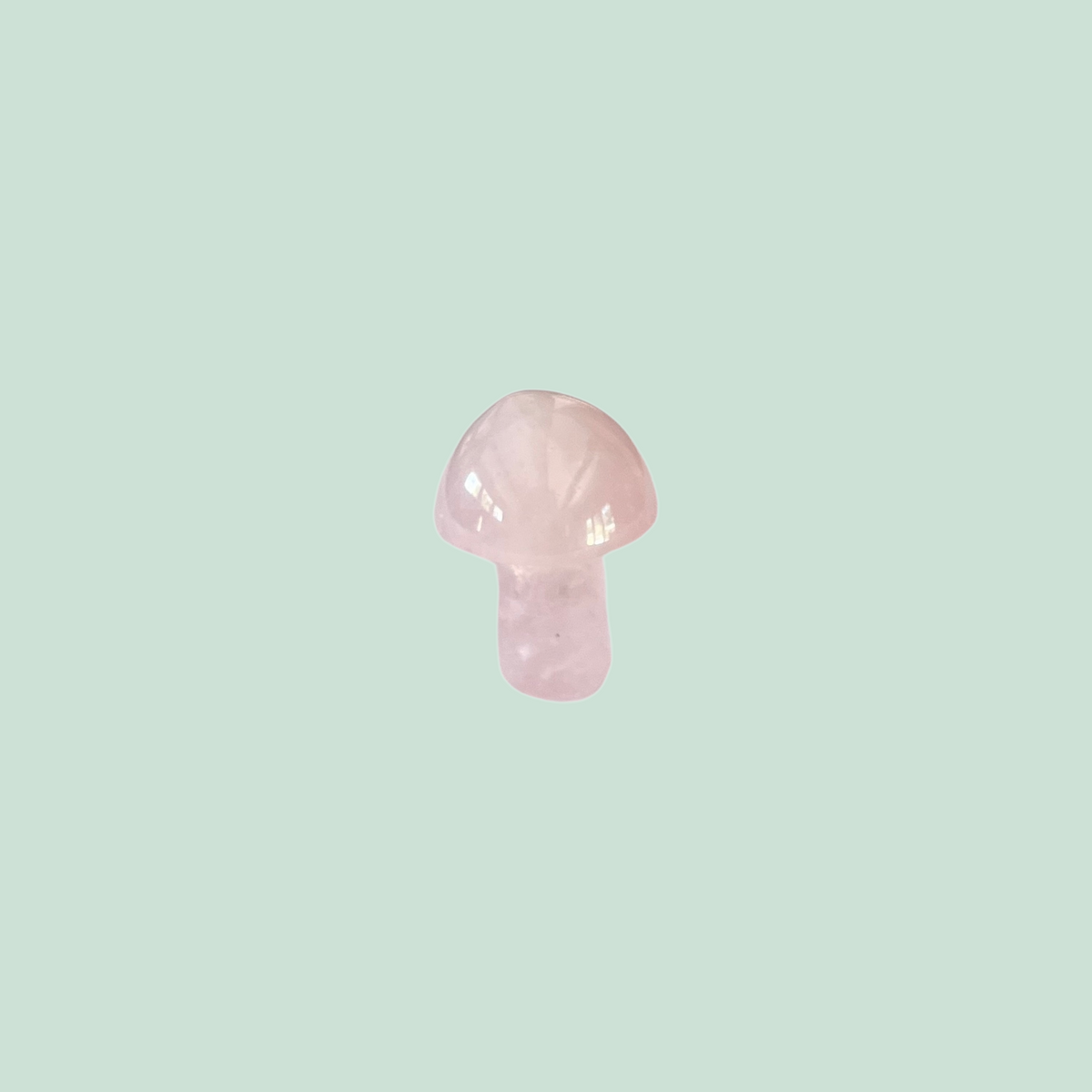 mini crystal mushroom {assorted}