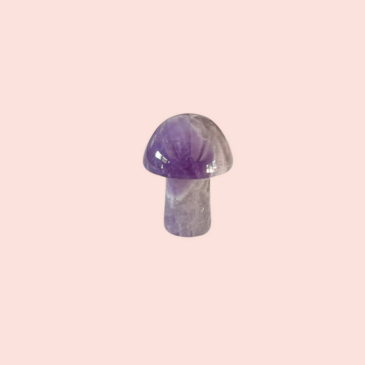 mini crystal mushroom {assorted}