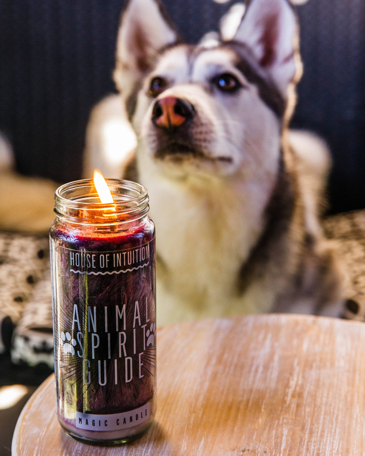 animal spirit guide magic candle