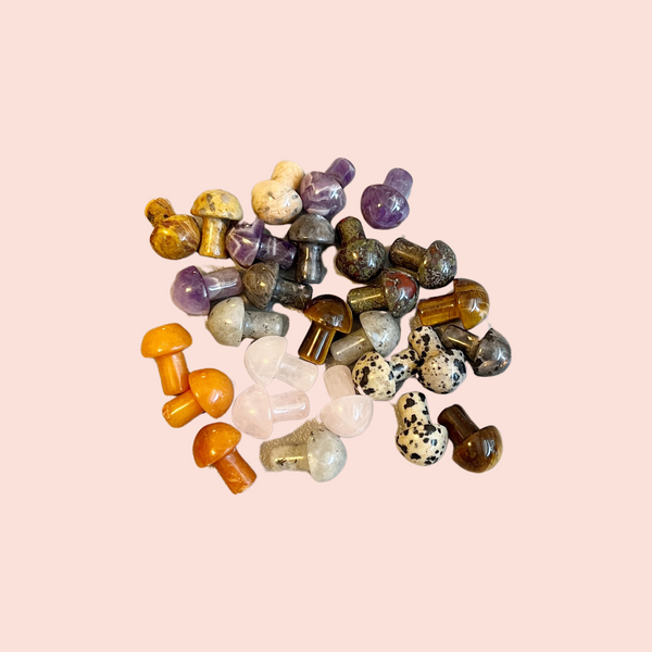 mini crystal mushroom {assorted}