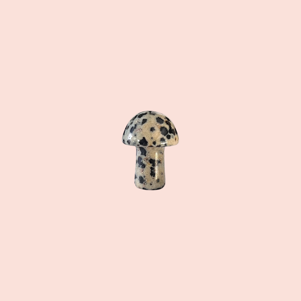 mini crystal mushroom {assorted}
