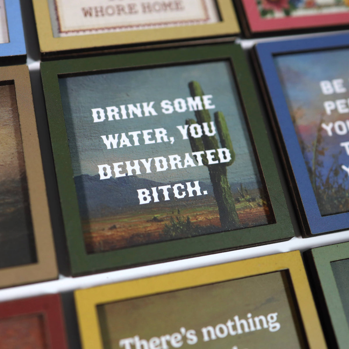 drink some water, you dehydrated bitch - funny wooden magnet