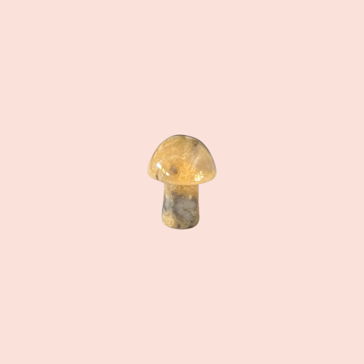 mini crystal mushroom {assorted}