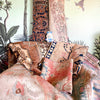 zizi {4'4" x 6'7"}