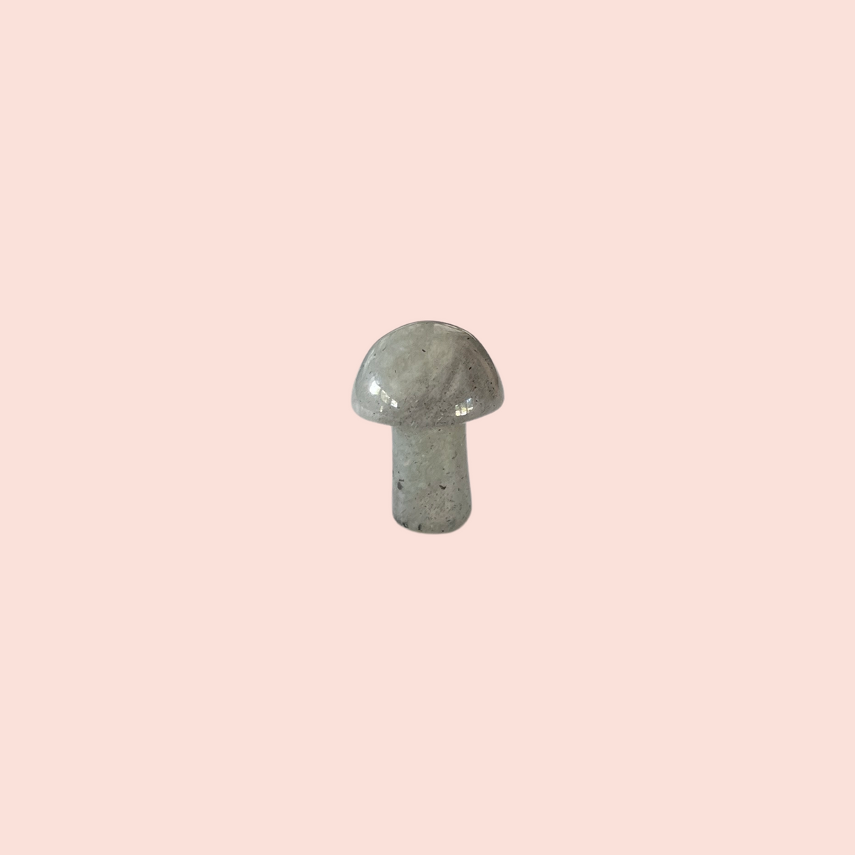 mini crystal mushroom {assorted}