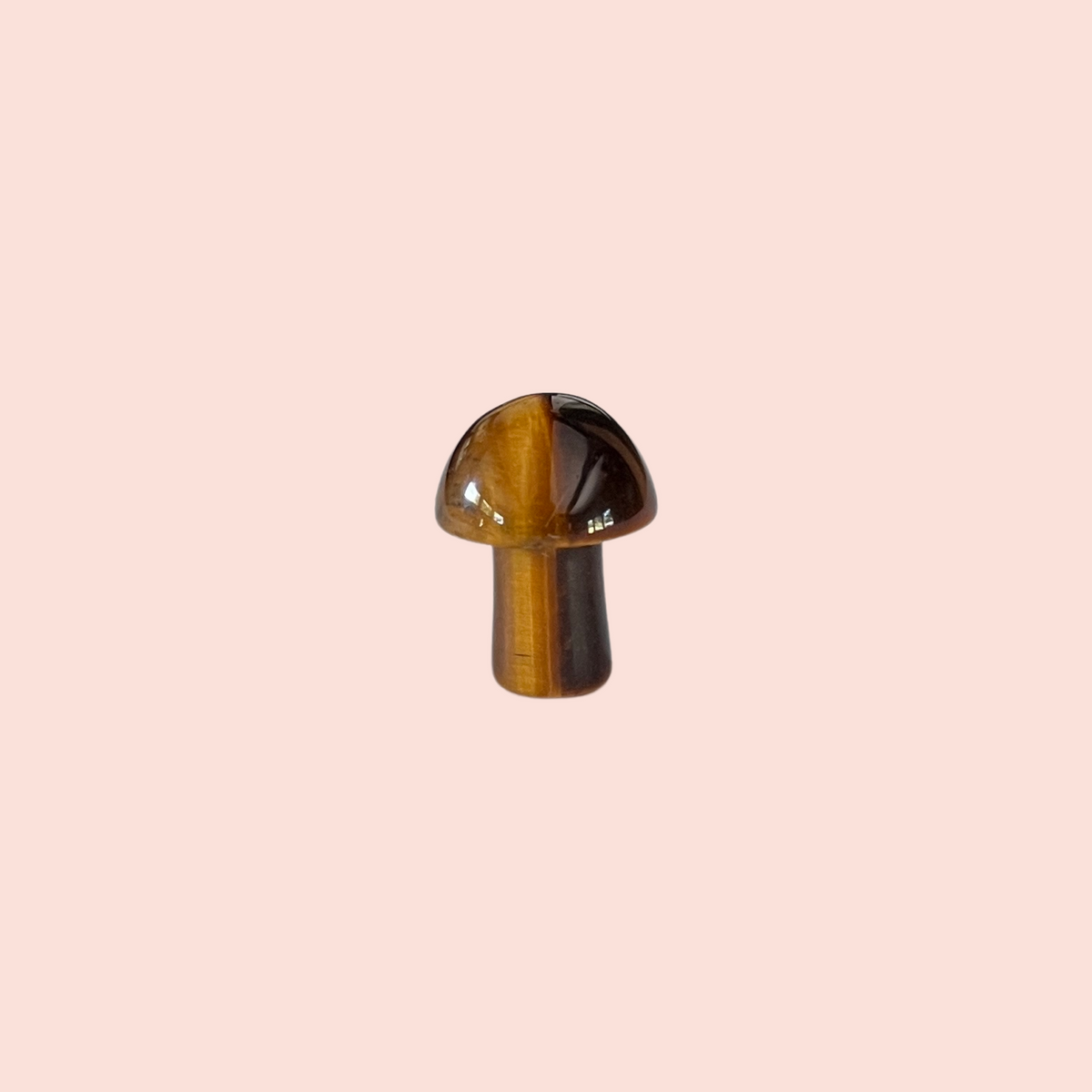 mini crystal mushroom {assorted}