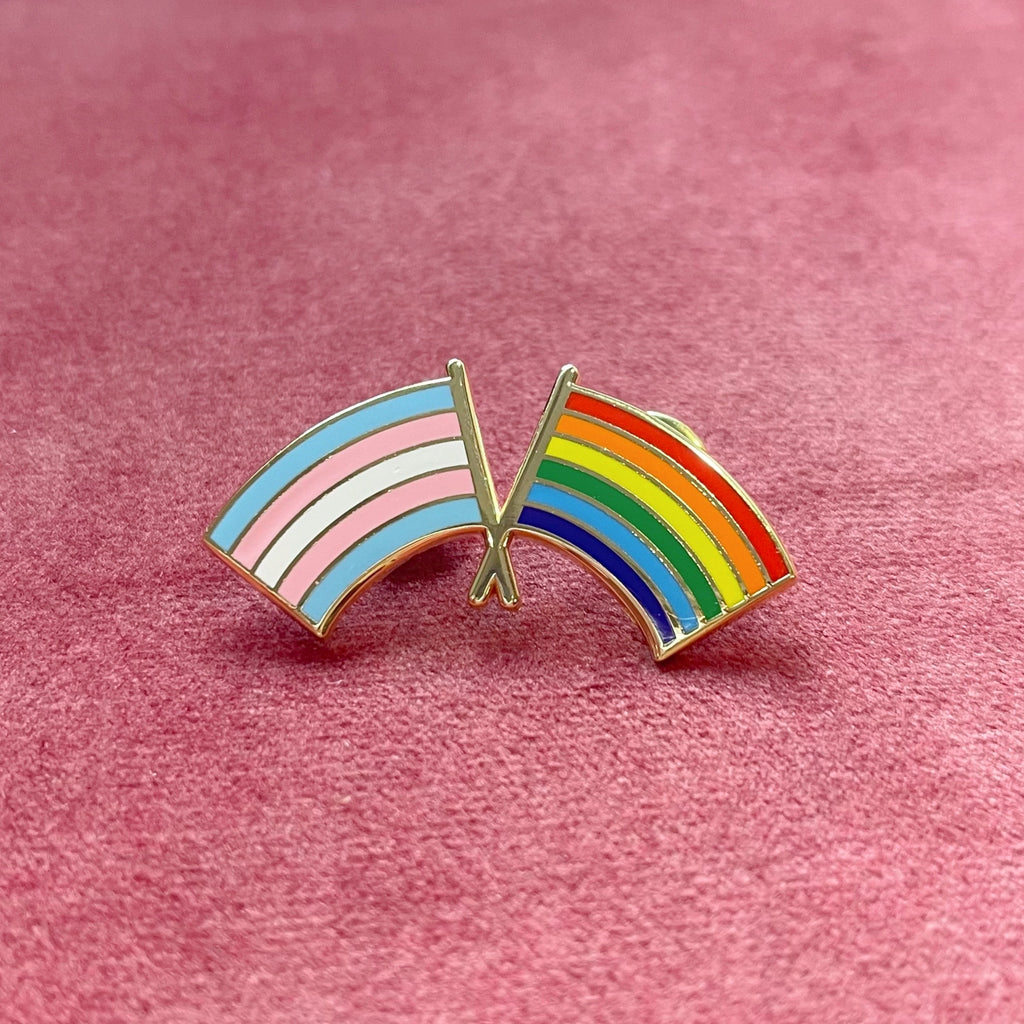 trans & lgbtq+ pride flags pin